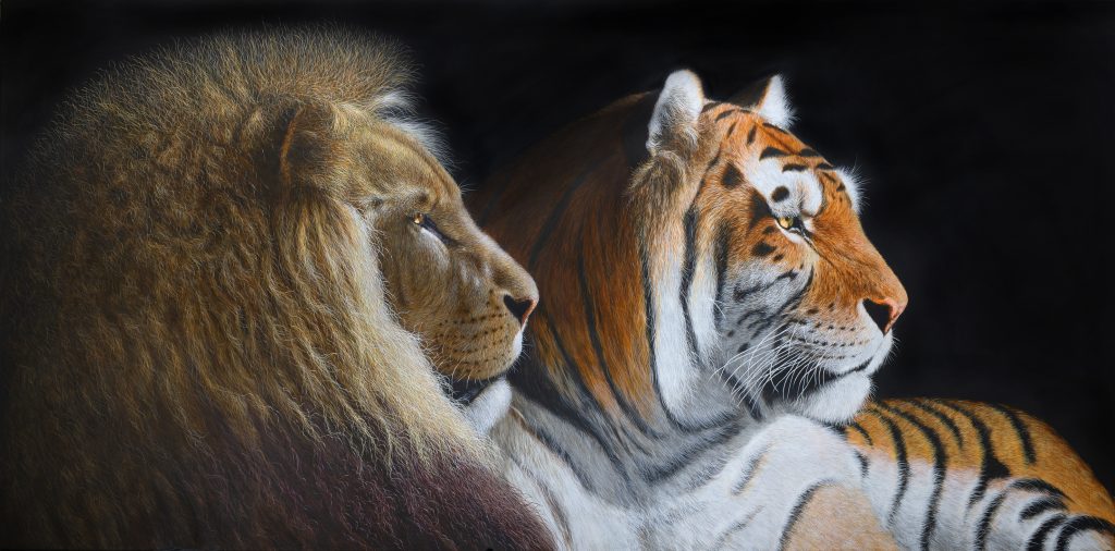 Löwe und Tiger
